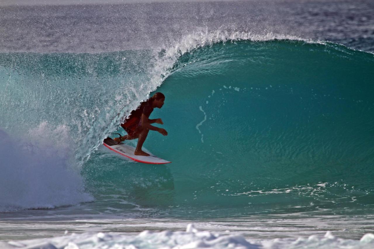 Hostel Surfcamp Arara Praia de Pipa Zewnętrze zdjęcie